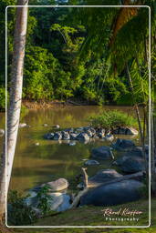 Maripasoula (462) - Arroyo Inini