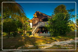 - Inini Creek, Maripasoula (545)