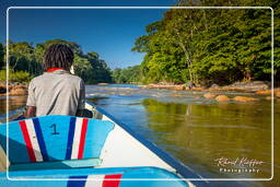 - Inini Creek, Maripasoula (564)