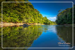 Maripasoula (572) - Arroyo Inini