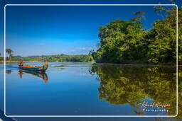 Maripasoula (576) - Arroyo Inini