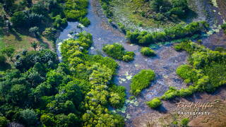 Montsinéry - Tonnegrande, French Guiana, France