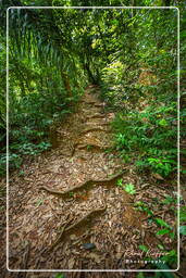 Sendero de Rorota (134)