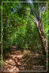 Rorota Trail (194)