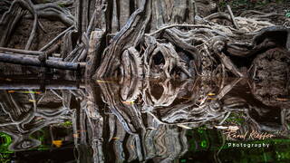 Saint Jean du Maroni, Crique Serpent, French Guiana, France