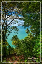 Royale Island, Salvation Islands (46)