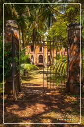 Royale Island, Salvation Islands (54)