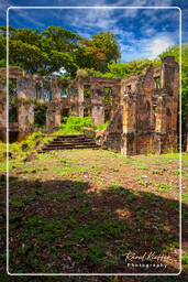 Royale Island, Salvation Islands (60)