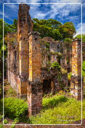 Royale Island, Salvation Islands (66)