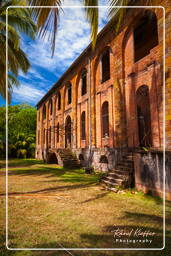 Royale Island, Salvation Islands (76)