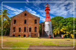 Islas de la Salvación (80) Îles Royale (Isla Real)