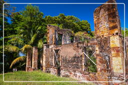 Isole du Salut (1057) Îles Royale