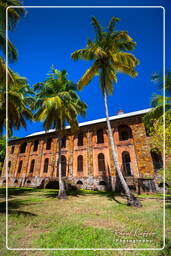 Royale Island, Salvation Islands (1174)