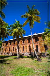 Isole du Salut (1174) Îles Royale