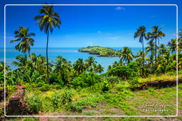 Devil’s Island, Salvation Islands (1221)