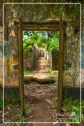 Islas de la Salvación (1345) Îles Saint-Joseph (Isla San José)