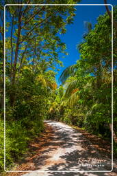 Royale Island, Salvation Islands (267)