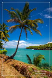 Royale Island, Salvation Islands (299)