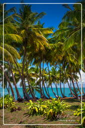 Royale Island, Salvation Islands (309)