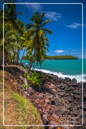 Isole du Salut (310) Îles Royale