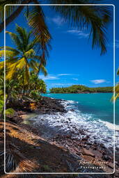 Royale Island, Salvation Islands (316)