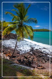 Royale Island, Salvation Islands (318)