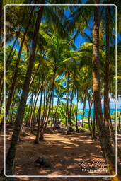 Saint-Joseph Island, Salvation Islands (364)