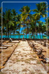 Saint-Joseph Island, Salvation Islands (375)