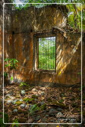 Saint-Joseph Island, Salvation Islands (391)