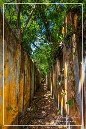 Saint-Joseph Island, Salvation Islands (454)