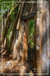 Ilhas da Salvação (463) Îles Saint-Joseph