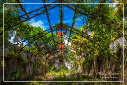 Saint-Joseph Island, Salvation Islands (481)