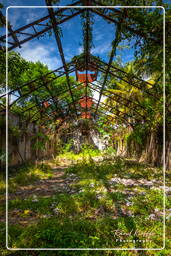 Saint-Joseph Island, Salvation Islands (485)