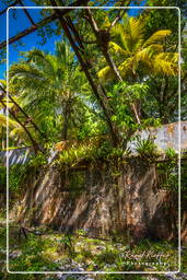 Saint-Joseph Island, Salvation Islands (491)