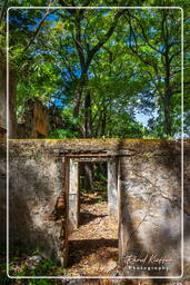 Saint-Joseph Island, Salvation Islands (504)
