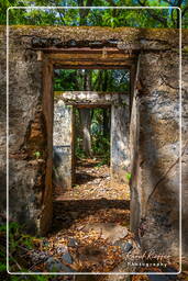 Saint-Joseph Island, Salvation Islands (508)