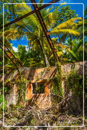 Islas de la Salvación (522) Îles Saint-Joseph (Isla San José)