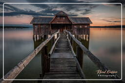 Inning am Ammersee, Ammersee (205)