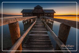 Inning am Ammersee, Ammersee (398)