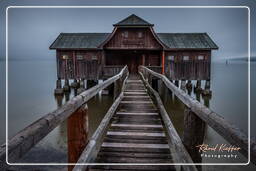 Inning am Ammersee, Ammersee (427)