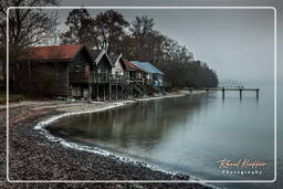 Inning am Ammersee, Ammersee (446)