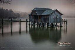 Inning am Ammersee, Ammersee (479)