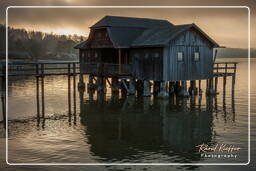 Inning am Ammersee, Ammersee (537)