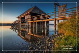 Buch am Ammersee, Ammersee (855)