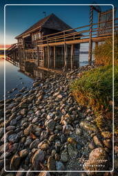 Buch am Ammersee, Ammersee (955)