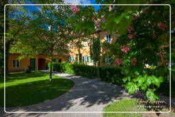 Fuggerei (387)