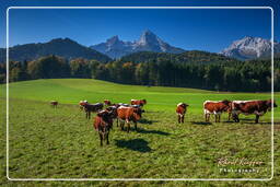 Berchtesgadener Land (8)