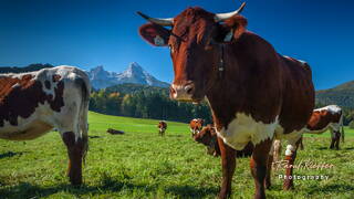 Berchtesgadener Land, Bavaria, Germany