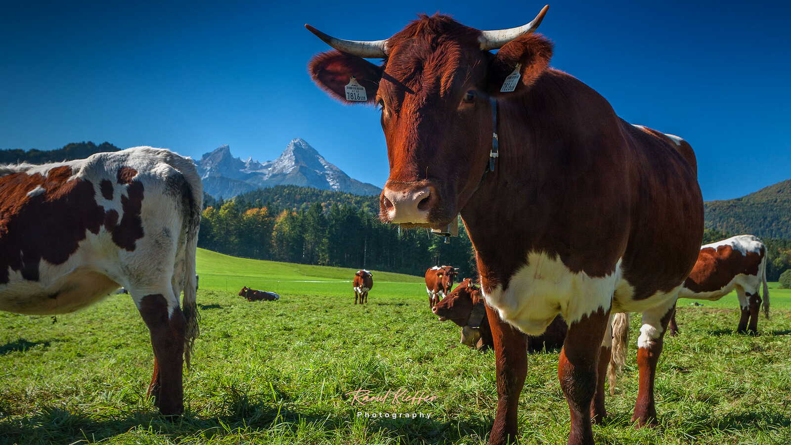 Bavarian Landscapes