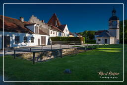 Rossschwemme, Castlehausen (107)